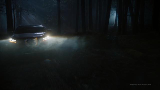 Video Reference: Atmospheric phenomenon, Light, Automotive lighting, Darkness, Headlamp, Atmosphere, Sky, Night, Tree, Fog