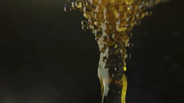 Video Reference: plant, vascular plant, woody plant, herb, tree, shrub