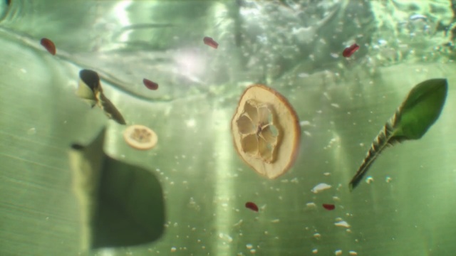 Video Reference: Green, Water, Organism, Leaf, Macro photography, Plant