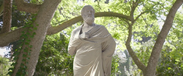 Video Reference: tree, green, statue, plant, garden, monument, grass, sculpture, sunlight, woodland