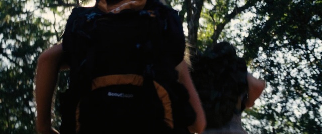 Video Reference: tree, vertebrate, woody plant, plant, girl, fun, forest, jungle