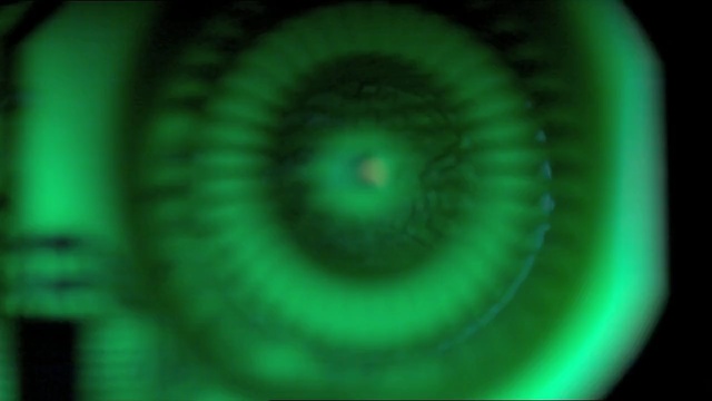 Video Reference: green, eye, close up, macro photography, organism, iris, organ, fractal art, circle, computer wallpaper, Person