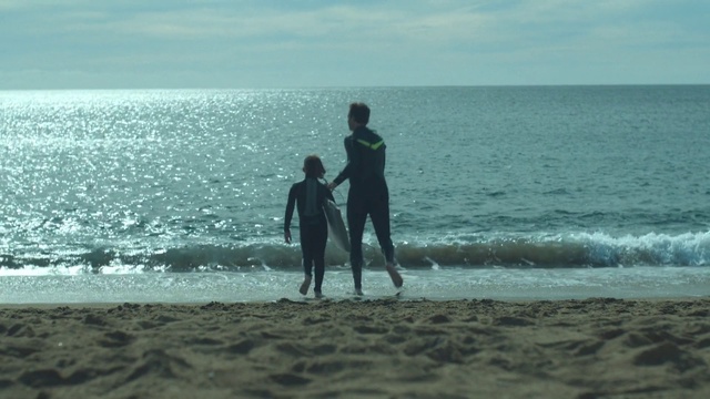 Video Reference: Sea, Ocean, Beach, Wave, Horizon, Fun, Shore, Sky, Coast, Vacation