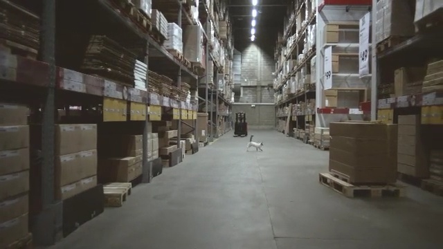 Video Reference: warehouse, building, inventory