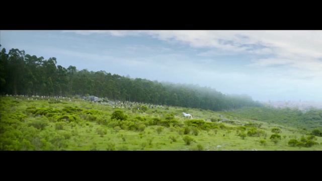 Video Reference: highland, grassland, sky, nature, ecosystem, vegetation, wilderness, mountainous landforms, hill station, green