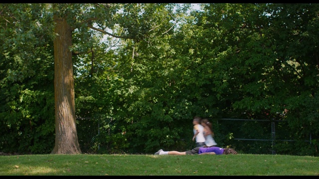 Video Reference: Nature, People in nature, Tree, Green, Photograph, Grass, Lawn, Natural environment, Leaf, Meadow