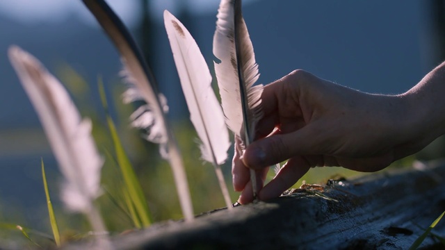 Video Reference: Leaf, Hand, Grass family, Botany, Plant, Finger, Close-up, Plant stem, Grass, Feather