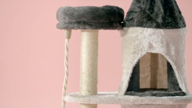 Video Reference: Pink, Fur