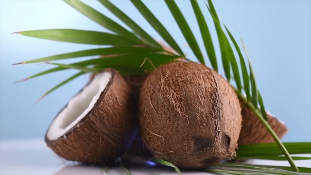 Video Reference: Coconut, Plant, Tree, Arecales, Palm tree, Coconut water, Attalea speciosa
