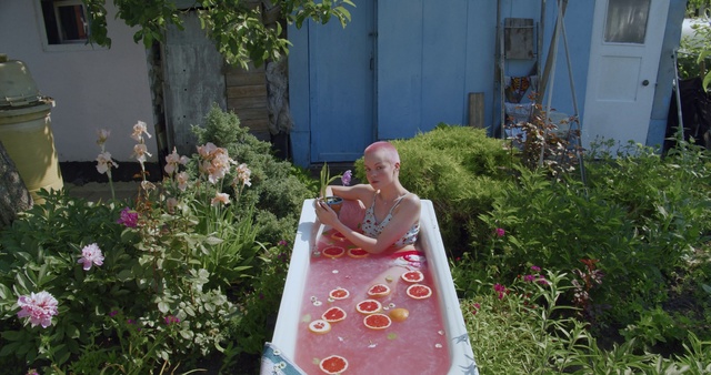 Video Reference: Yard, Backyard, Garden, Grass, Leisure, House, Plant, Home, Flower, Vacation