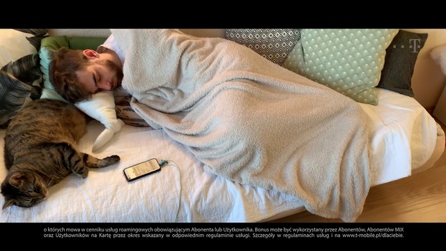 Video Reference: Nap, Comfort, Human, Cat, Sleep, Room, Textile, Photography, Photo caption, Furniture