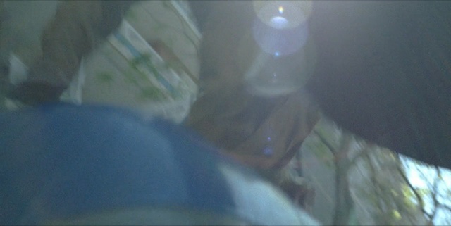 Video Reference: , Sitting, Window, Glass, Bed, Table, Mirror, Laptop, White, Man, Reflection, Dog, Holding, Cat, Blurry, Blue, Bird, Room, Plate, Aquarium