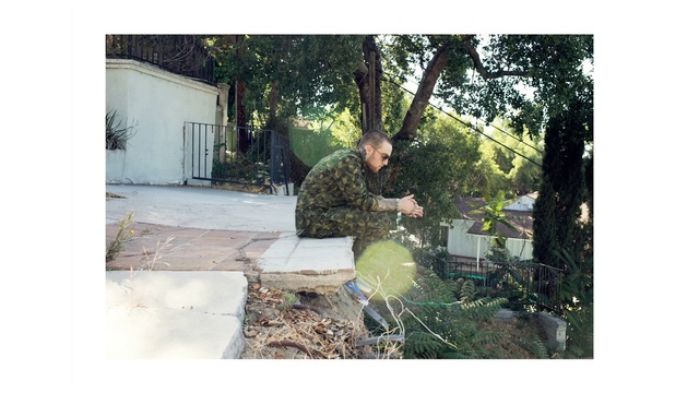 Video Reference: Tree, Leaf, Adaptation, Plant, Grass, Military camouflage, Outerwear, Shrub, Camouflage