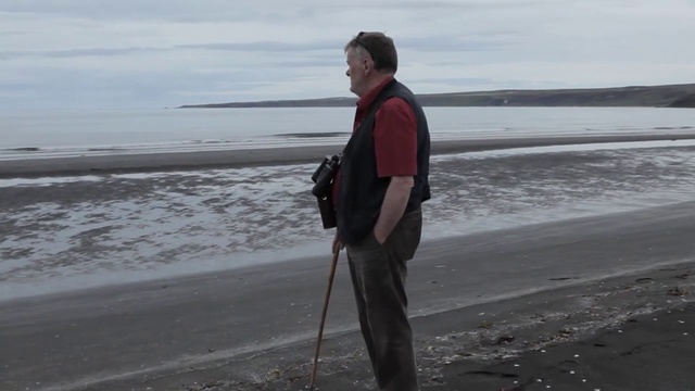 Video Reference: Standing, Coast, Shore, Ocean, Sea, Beach, Walking, Person