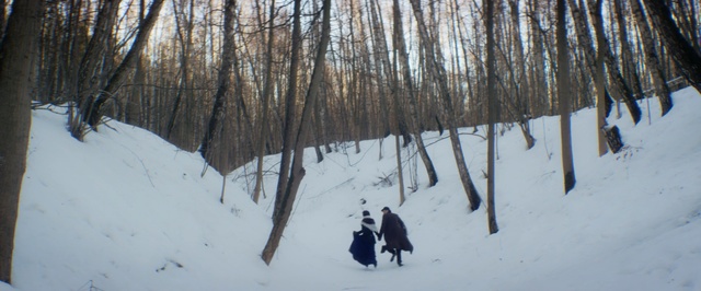 Video Reference: Snow, Winter, Tree, Canidae, Forest, Plant, Sporting Group, Woodland, Freezing