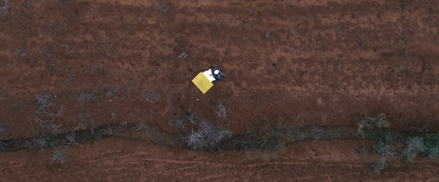 Video Reference: Yellow, Soil, Brown, Geological phenomenon, Wood, Geology, Photography, Terrain, Landscape