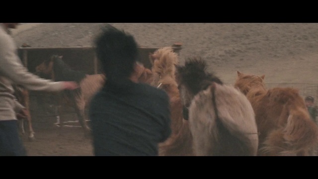 Video Reference: Human, Scene, Fun, Photography, Mane, Movie, Art