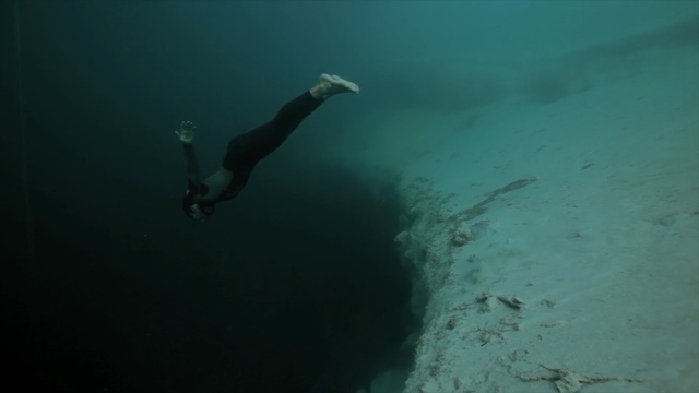 Video Reference: underwater diving, water, underwater, freediving, scuba diving, diving, sea, recreation, marine biology, organism