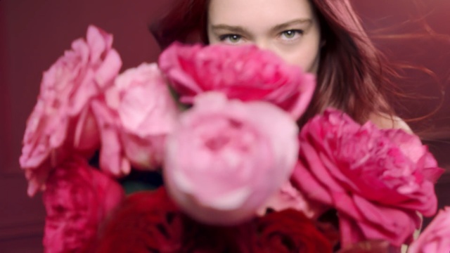 Video Reference: Pink, Lip, Flower, Petal, Red, Garden roses, Rose, Beauty, Plant, Rose family
