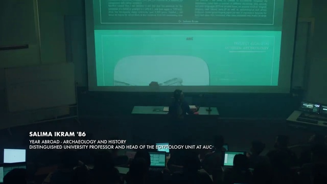 Video Reference: Green, Screen, Technology, Display device, Multimedia, Electronic device, Computer monitor