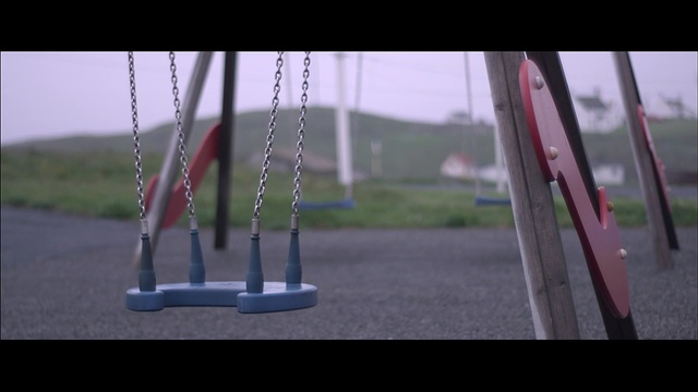 Video Reference: Swing, Public space, Outdoor play equipment, Playground, Tree, Plant, City