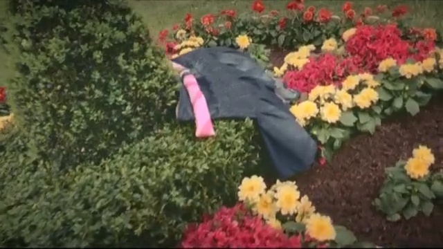 Video Reference: flower, plant, flowering plant, floristry, garden, flower arranging, flora, annual plant, shrub, spring