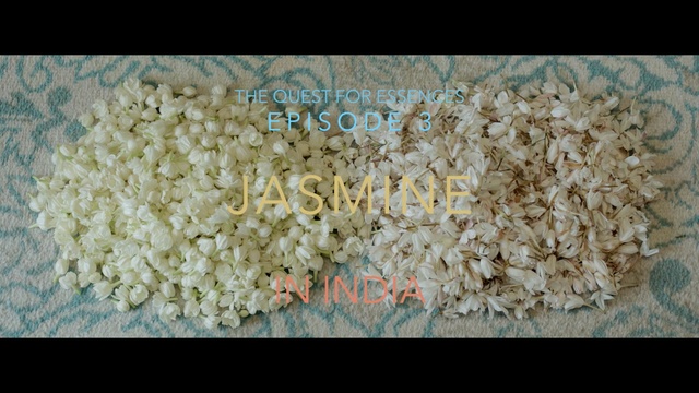 Video Reference: rice, mixture, commodity, food grain, rice cereal