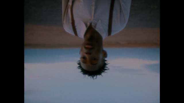 Video Reference: Reflection, Organism, Photography, Tail, Whiskers, Person