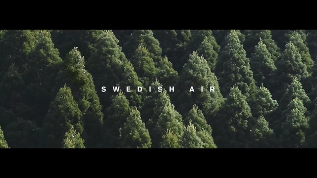 Video Reference: green, vegetation, ecosystem, tree, forest, sky, tropical and subtropical coniferous forests, biome, atmosphere, grass