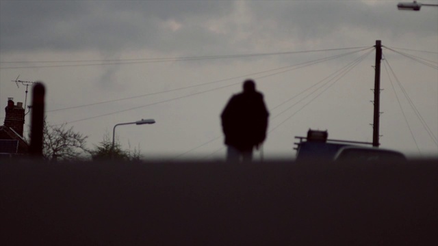 Video Reference: Sky, Overhead power line, Atmospheric phenomenon, Cloud, Lighting, Atmosphere, Photography, Tree, Silhouette, Light fixture, Person
