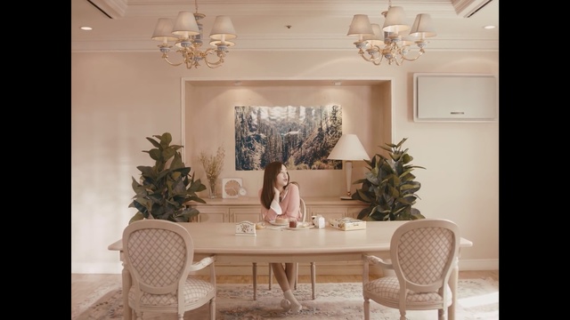 Video Reference: room, dining room, living room, home, interior design, furniture, table, ceiling, window, decor, Person