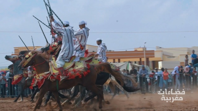 Video Reference: pack animal, camel, camel like mammal, horse like mammal, competition event, middle ages, Person