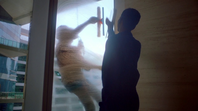 Video Reference: Window, Cat, Sporting Group, Shadow, Felidae, Fawn, Canidae