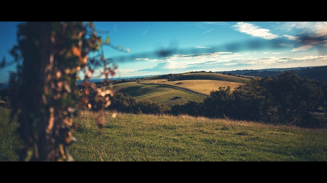 Video Reference: Sky, Nature, Cloud, Natural landscape, Tree, Grass, Natural environment, Green, Wilderness, Light