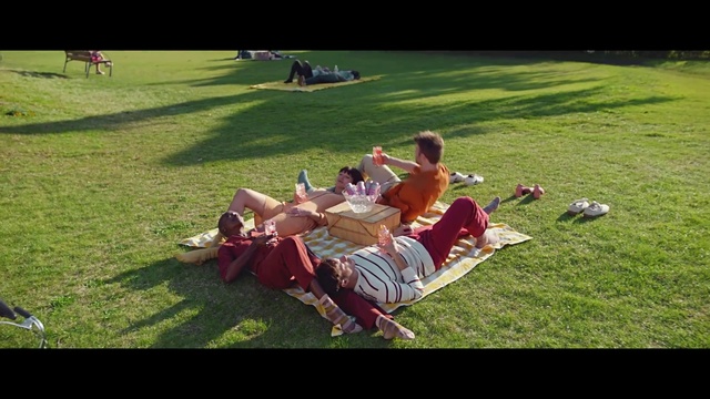 Video Reference: Lawn, Grass, Picnic, Fun, Leisure, Recreation, Summer, Sun tanning, Grassland, Sitting