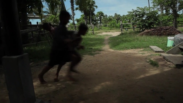 Video Reference: tree, screenshot, dog like mammal