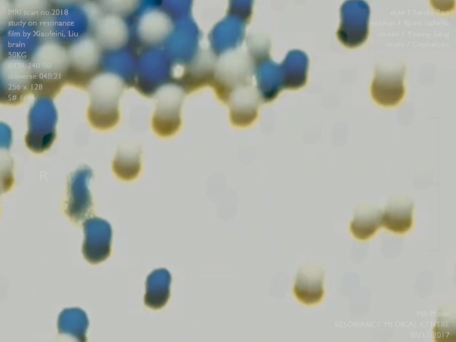 Video Reference: blue, white, yellow, close up, azure, sky, organism, material, atmosphere, macro photography