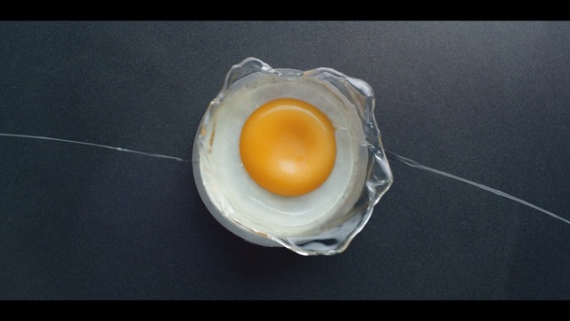 Video Reference: Egg yolk, Fried egg, Egg, Egg white, Dish, Food, Ingredient, Egg, Poached egg