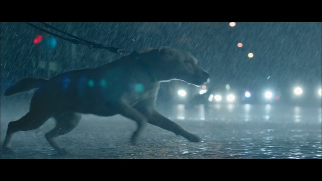 Video Reference: nature, water, atmosphere, darkness, screenshot, organism, night, sky, underwater, computer wallpaper