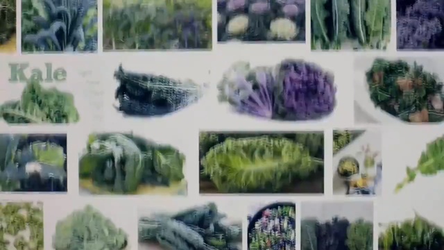 Video Reference: Organism, Plant, Leaf vegetable, Vegetarian food, Vegetable, Watercolor paint, Art, Superfood