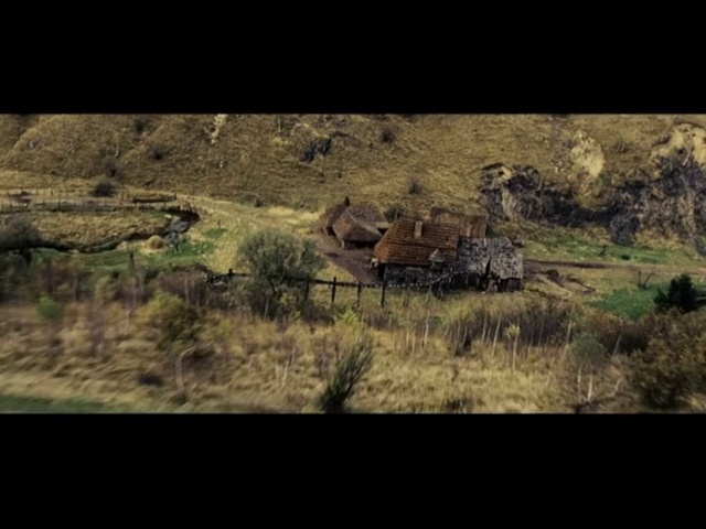 Video Reference: Nature, Wilderness, Wildlife, Grass, Landscape, Tree, Ecoregion, Rural area, Adaptation, Grassland