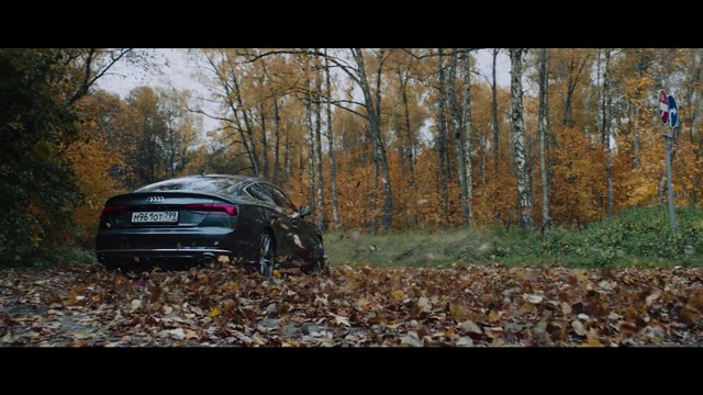 Video Reference: Land vehicle, Vehicle, Car, Luxury vehicle, Automotive design, Mid-size car, Executive car, Family car, Tree, Performance car