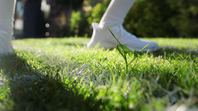 Video Reference: People in nature, Leaf, Sky, Plant, Mammal, Gesture, Sunlight, Happy, Grass, Flooring