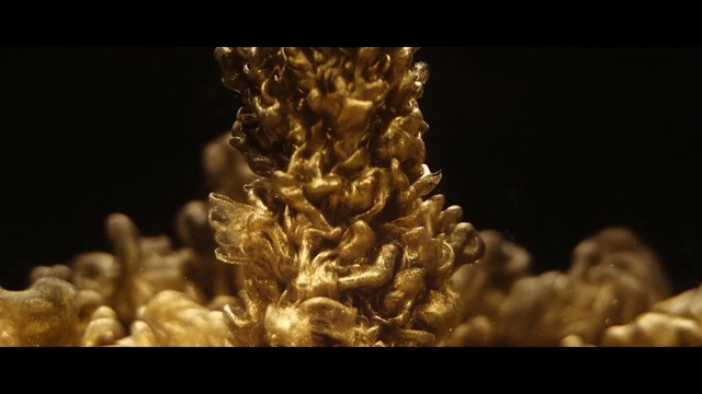 Video Reference: macro photography, computer wallpaper, commodity, grass family