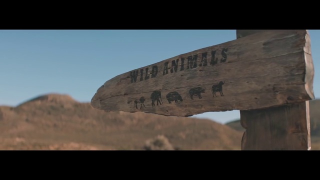 Video Reference: Photograph, Landmark, Sky, Historic site, Landscape, Ancient history, Tree, Photography, History, Stock photography