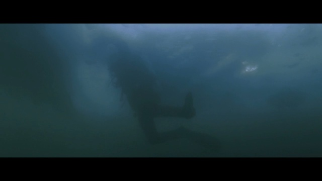 Video Reference: Underwater, Atmosphere, Marine biology, Fish, Cartilaginous fish, Great white shark, Lamniformes, Shark, Sea, Darkness