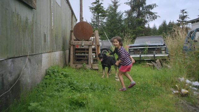 Video Reference: plant, grass, tree, rural area, yard, backyard, recreation, farm, landscape, outdoor structure