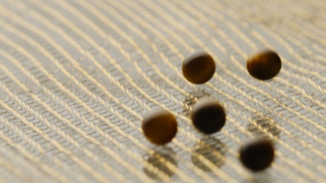 Video Reference: macro photography, close up