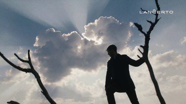 Video Reference: Sky, People in nature, Cloud, Tree, Branch, Silhouette, Photography, Happy, Backlighting, Stock photography