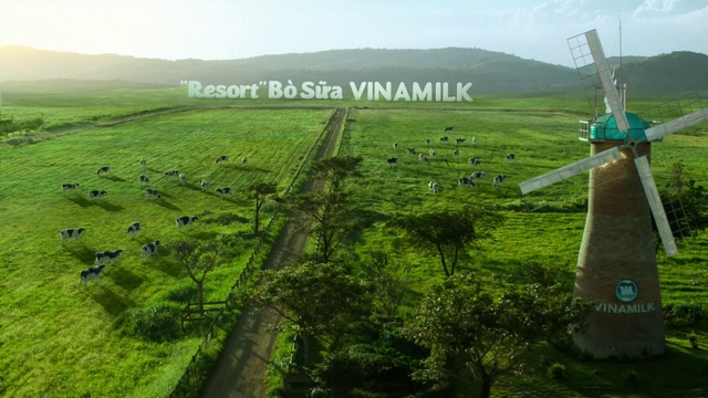 Video Reference: Highland, Grassland, Green, Hill station, Hill, Rural area, Land lot, Plantation, Farm, Landscape